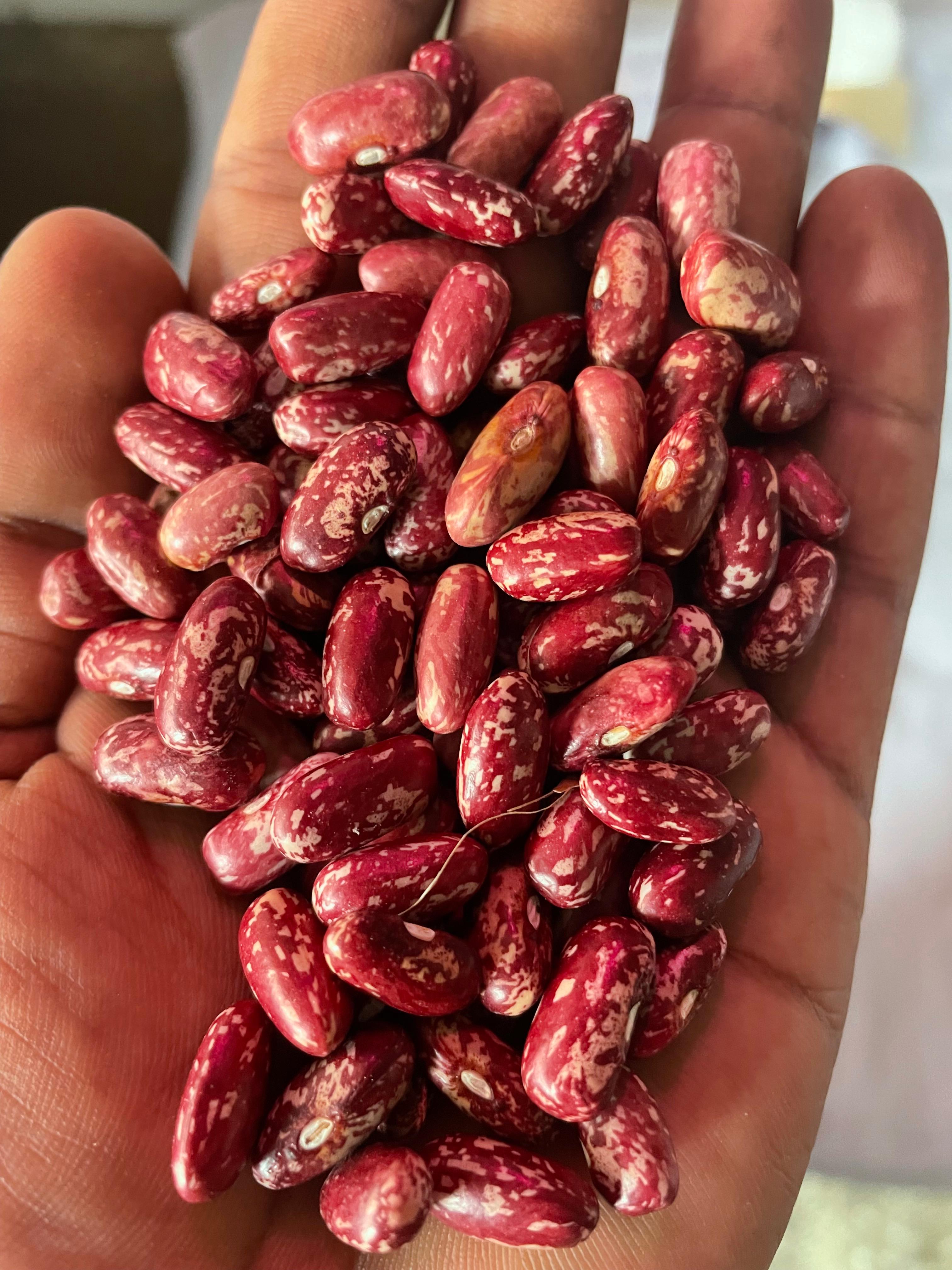JOSHIMATH RAJMA